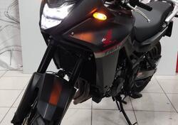 Honda Transalp XL750 (2023 - 24) usata