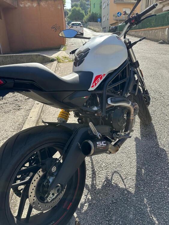 Ducati Monster 797 (2019 - 20) (2)