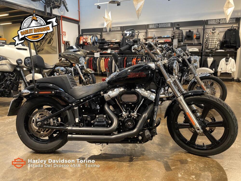 Harley-Davidson Softail Standard (2021 - 24)