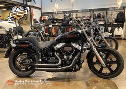 Harley-Davidson Softail Standard (2021 - 24) usata