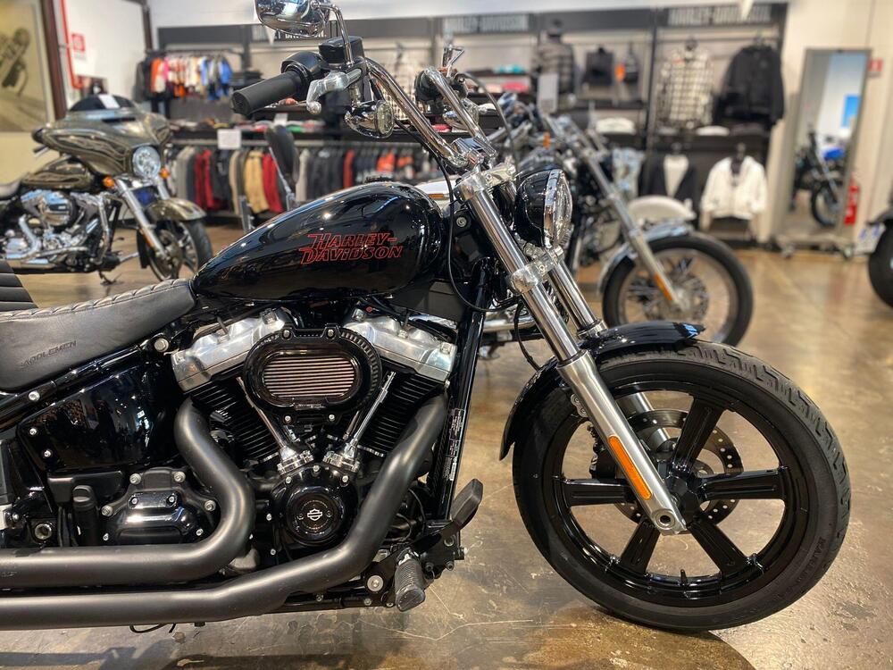 Harley-Davidson Softail Standard (2021 - 24) (3)