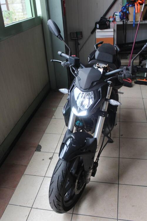 Benelli BN 125 (2021 - 25) (2)