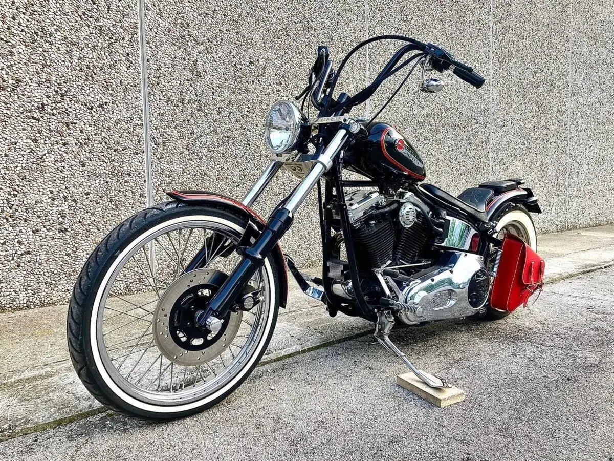 Harley-Davidson 1340 Custom (1989 - 98) (4)