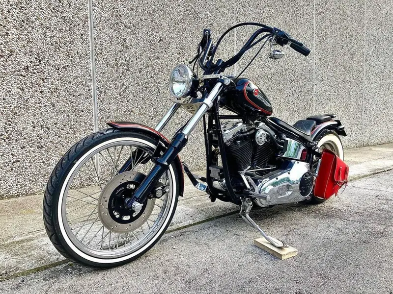 Harley-Davidson 1340 Custom (1989 - 98) (4)