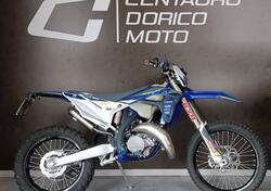 Sherco 125 SE Factory (2022) usata