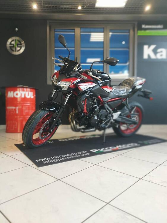 Kawasaki Z 650 (2021 - 24) (4)