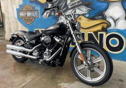 Harley-Davidson Softail Standard (2021 - 24) nuova