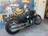 Harley-Davidson Softail Standard (2021 - 24) (6)