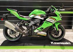 Kawasaki Ninja ZX-4RR (2024 - 25) nuova