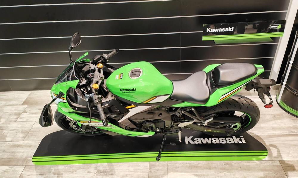 Kawasaki Ninja ZX-4RR (2024 - 25) (3)