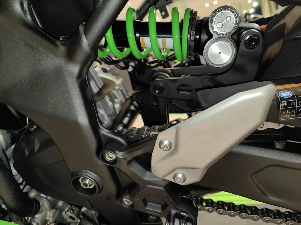 Kawasaki Ninja ZX-4RR (2024 - 26) (7)