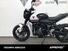 Triumph Trident 660 (2021 - 24) (6)