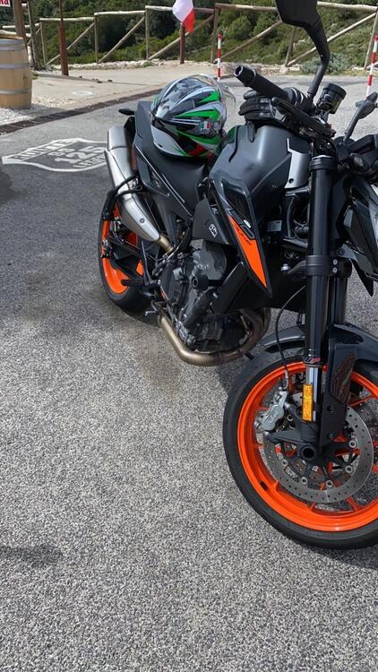 KTM 790 Duke (2018 - 20) (3)