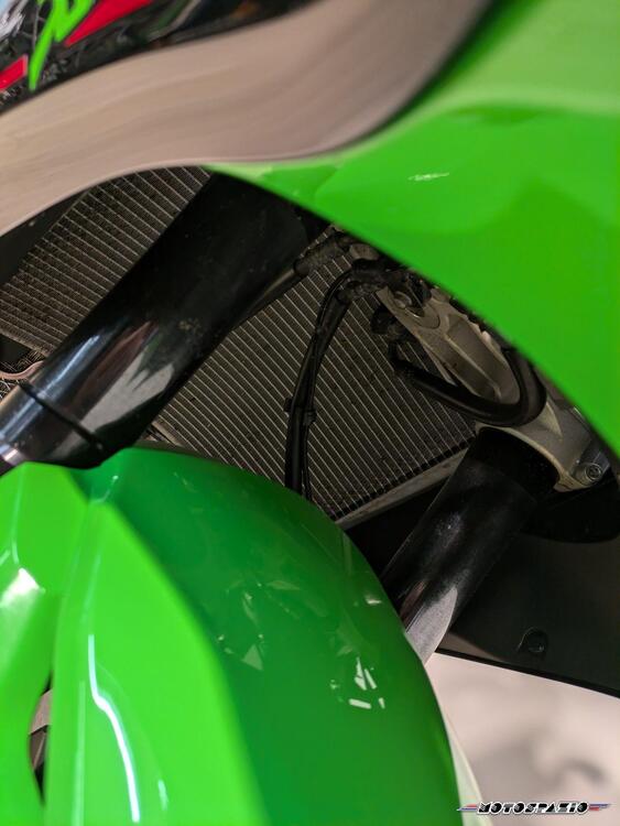 Kawasaki Ninja 1000 ZX-10R (2021 - 25) (3)