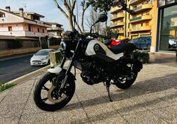 Benelli Leoncino 125 (2022 - 24) nuova