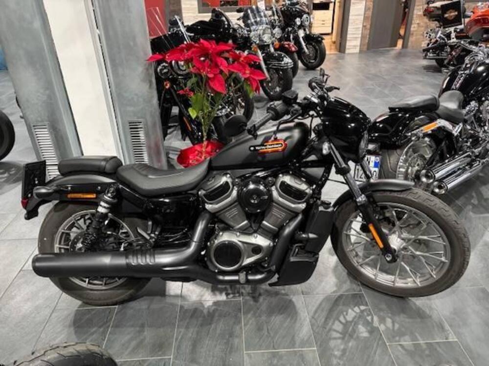 Harley-Davidson Nightster Special (2023 - 25)