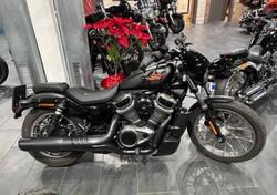 Harley-Davidson Nightster Special (2023 - 25) usata