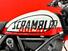 Ducati Scrambler 800 Urban Motard (2022) (11)