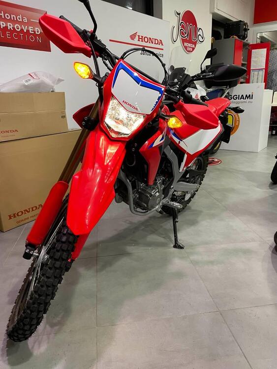 Honda CRF 300 L (2021 - 24) (5)