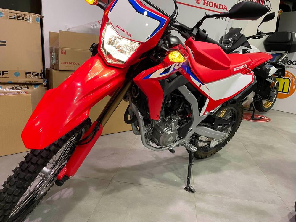 Honda CRF 300 L (2021 - 24) (2)