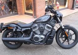 Harley-Davidson Nightster (2023 - 24) usata