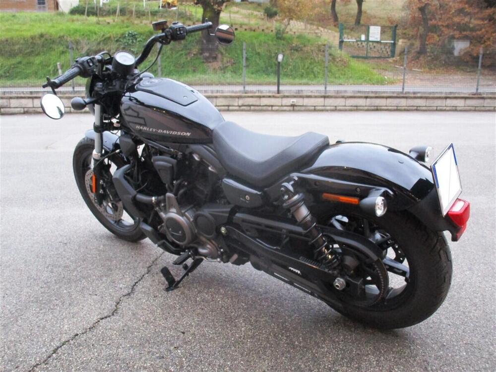 Harley-Davidson Nightster (2023 - 24) (4)