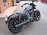 Harley-Davidson Nightster (2023 - 24) (6)