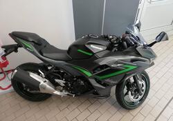 Kawasaki Ninja 500 SE (2024 - 25) nuova