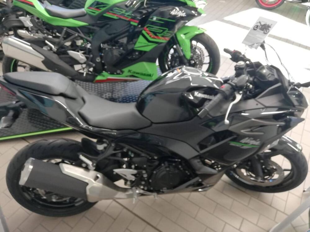 Kawasaki Ninja 500 SE (2024 - 25)