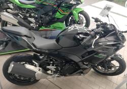 Kawasaki Ninja 500 SE (2024 - 25) nuova