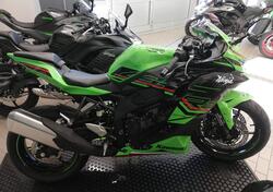 Kawasaki Ninja ZX-4RR (2024 - 25) nuova