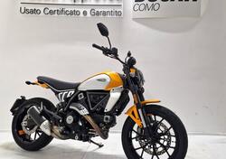 Ducati Scrambler 800 Icon (2023 - 25) usata