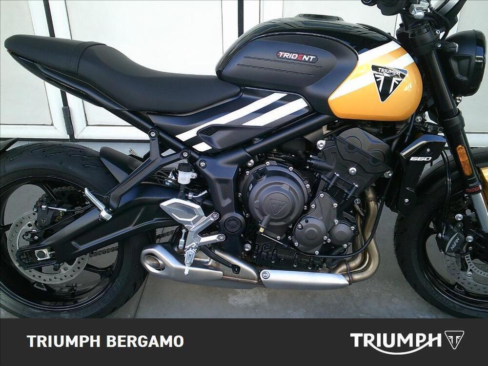 Triumph Trident 660 (2021 - 24) (5)