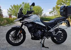 Triumph Tiger 900 GT (2020 - 23) usata