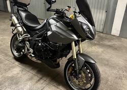 Triumph Tiger 1050 SE ABS (2006 - 13) usata