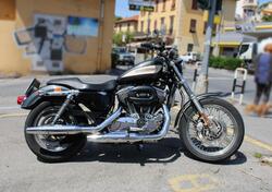 Harley-Davidson 1200 Roadster (2002 - 05) - XL 1200R usata