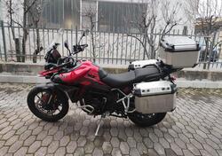 Triumph Tiger 900 GT Pro (2024) usata