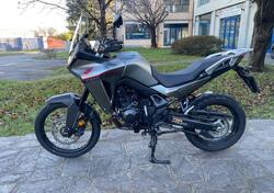 Honda Transalp XL750 (2023 - 24) usata