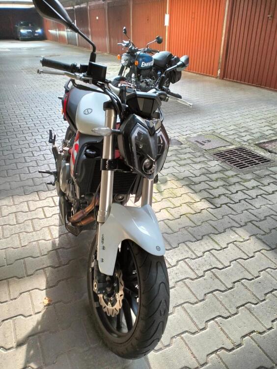 Benelli BN 302 S (2019 - 20) (2)