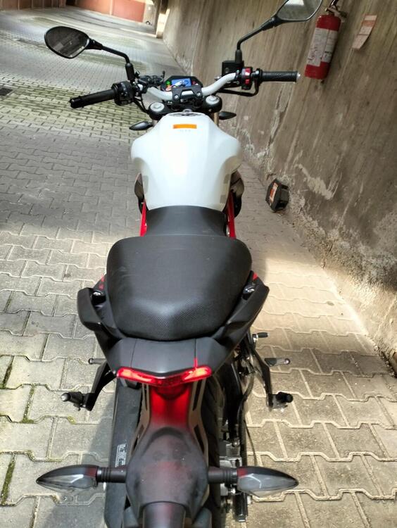 Benelli BN 302 S (2019 - 20) (4)