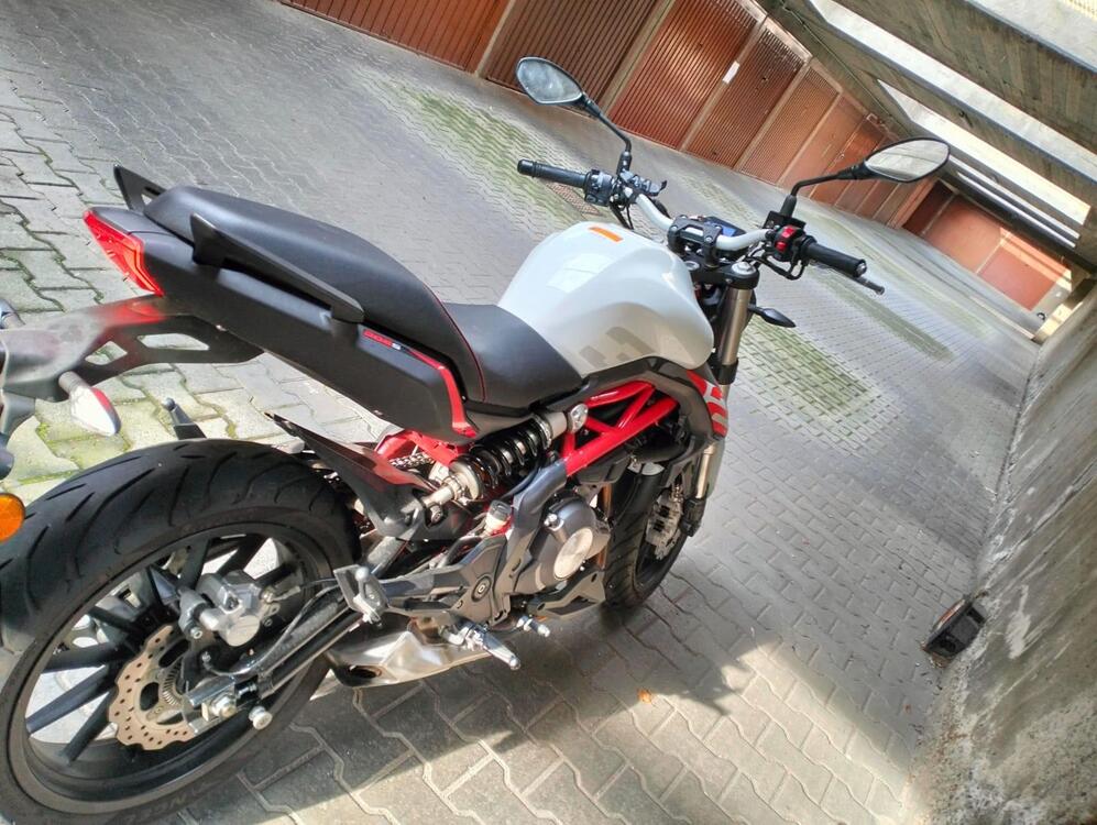 Benelli BN 302 S (2019 - 20) (5)