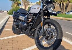 Triumph Street Scrambler 900 (2019 - 20) usata