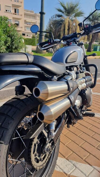 Triumph Street Scrambler 900 (2019 - 20) (5)