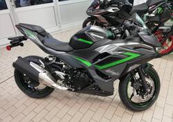 Kawasaki Ninja 500 SE (2024 - 25) usata