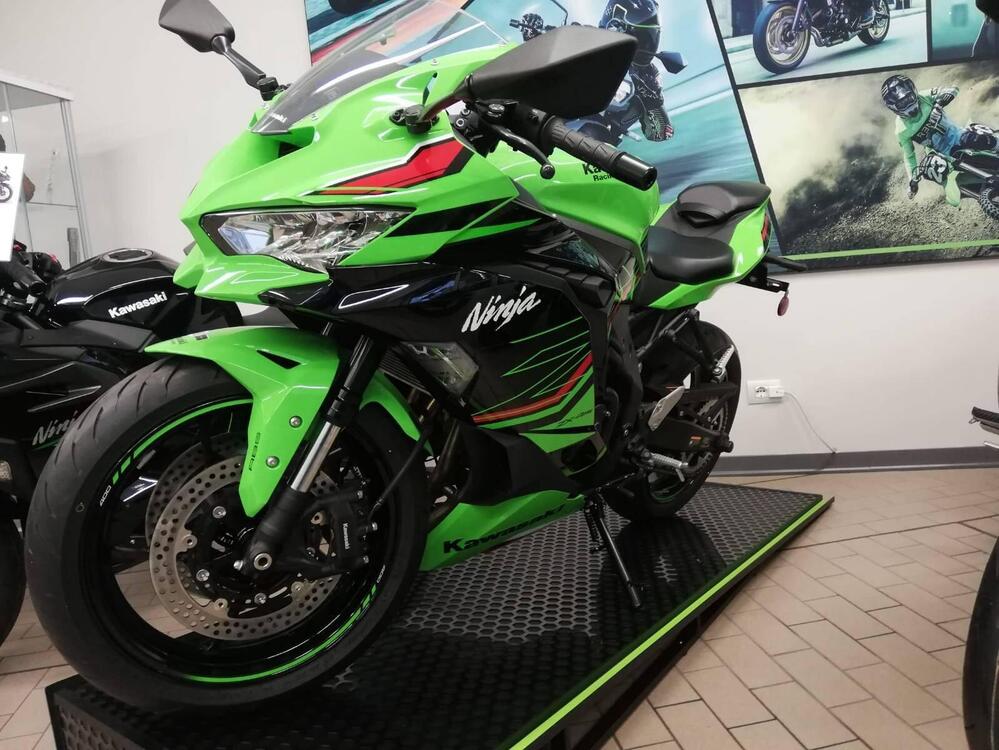 Kawasaki Ninja ZX-4RR (2024 - 25)