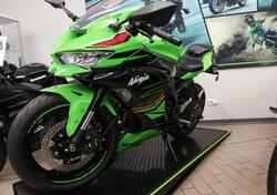 Kawasaki Ninja ZX-4RR (2024 - 25) usata