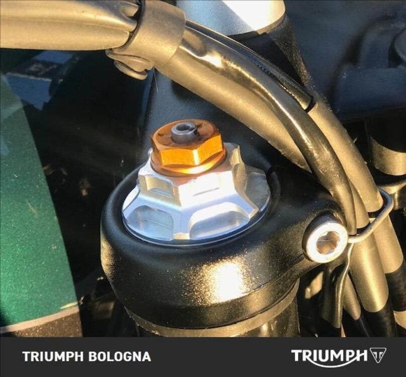 Triumph Speed Twin 1200 (2019 - 20) (4)