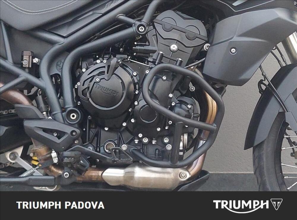 Triumph Tiger 800 XC ABS (2010 - 14) (3)