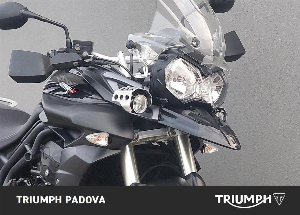 Triumph Tiger 800 XC ABS (2010 - 14) (5)