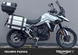 Triumph Tiger 900 GT Pro (2024) usata